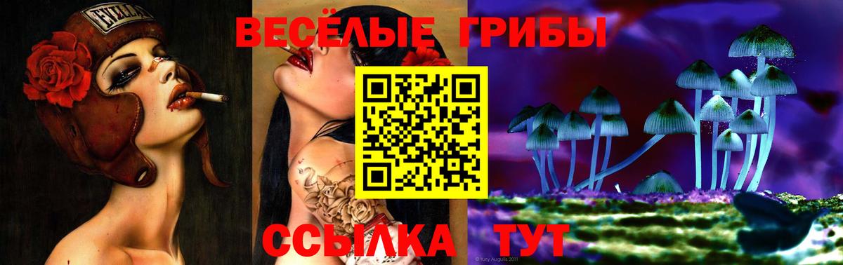 Сунжа  Псилоцибиновые грибы мицелий  Галлюциногенные грибы мицелий  Вход с VPN 